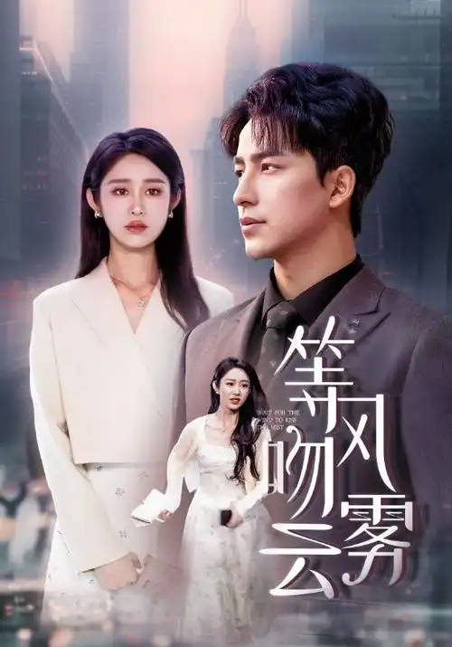 破晓行动 电视剧海报